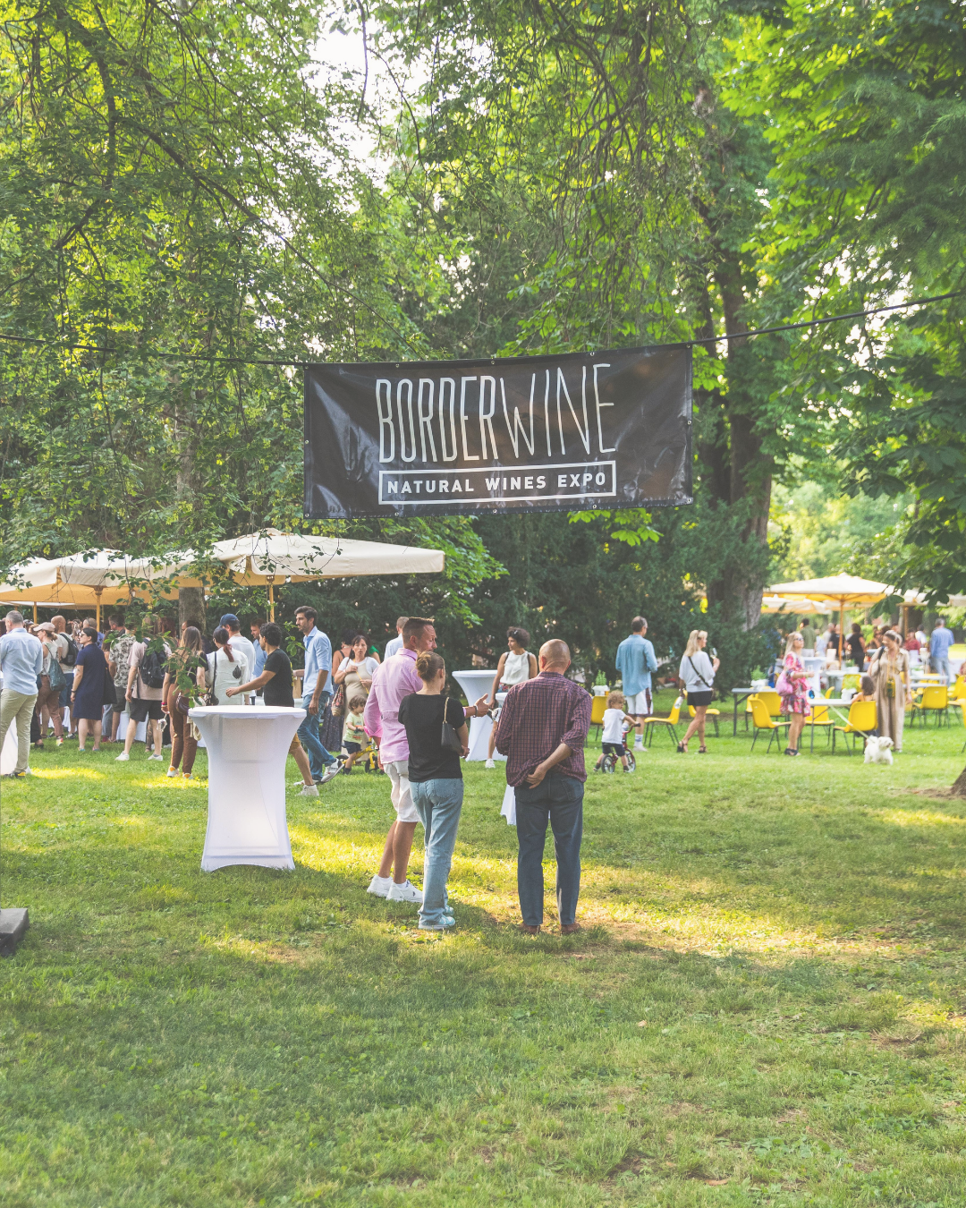 BorderWine - Natural wines Expo