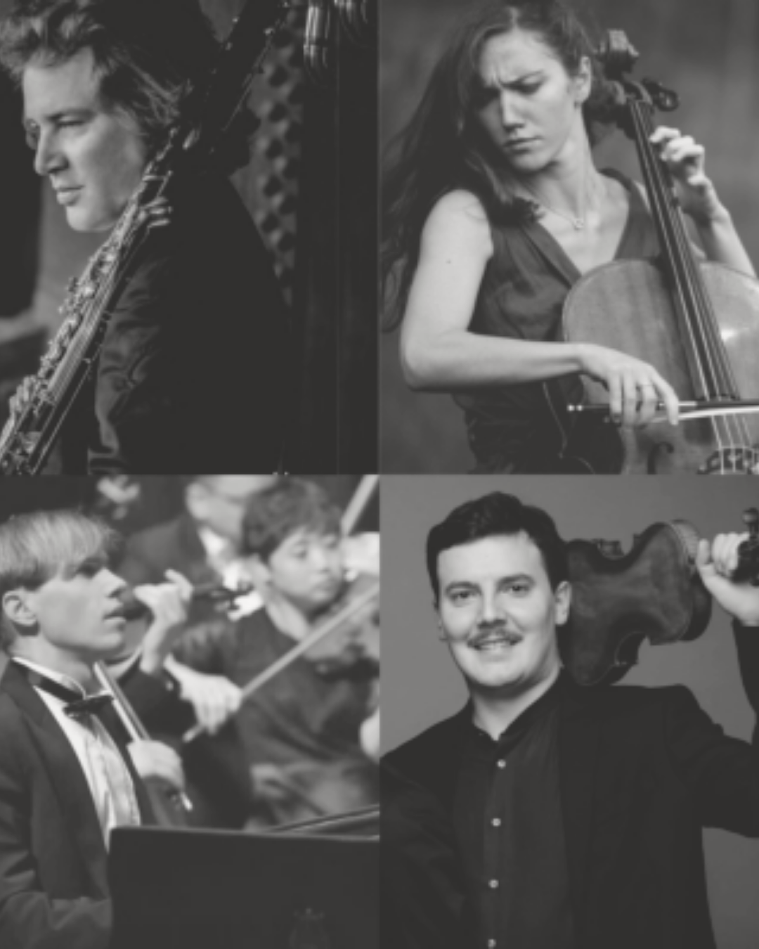 Borderless quartet - Festival Prečkanja/Sconfinamenti