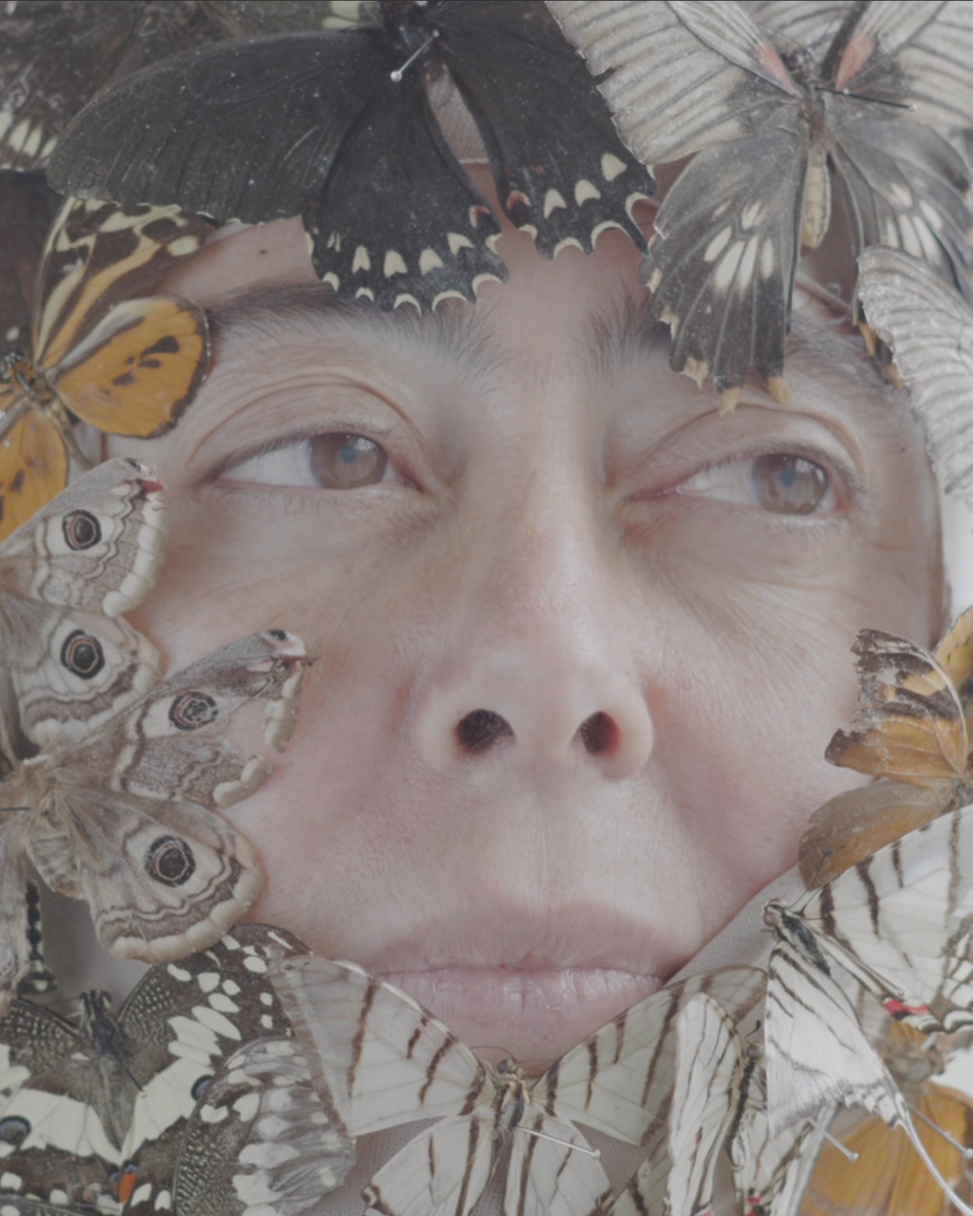 Incontro con l'artista Anouk Chambaz - Progetto MIND THE BORDER