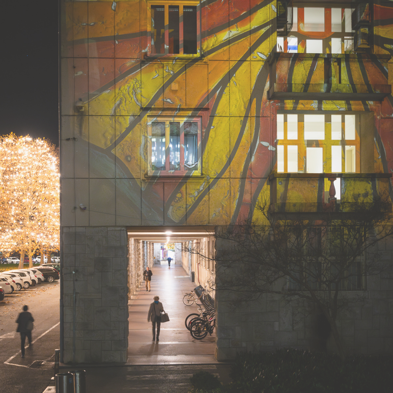 Luci di Natale con LuMenArtist