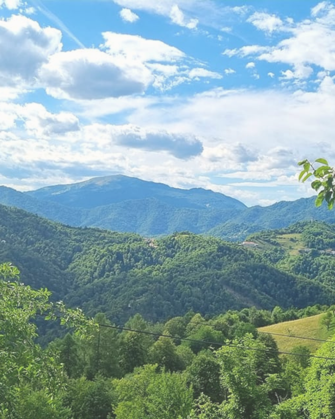 Vseeno. Vse je eno (predstavitev knjige) Vseeno. Vse je eno (predstavitev knjige)