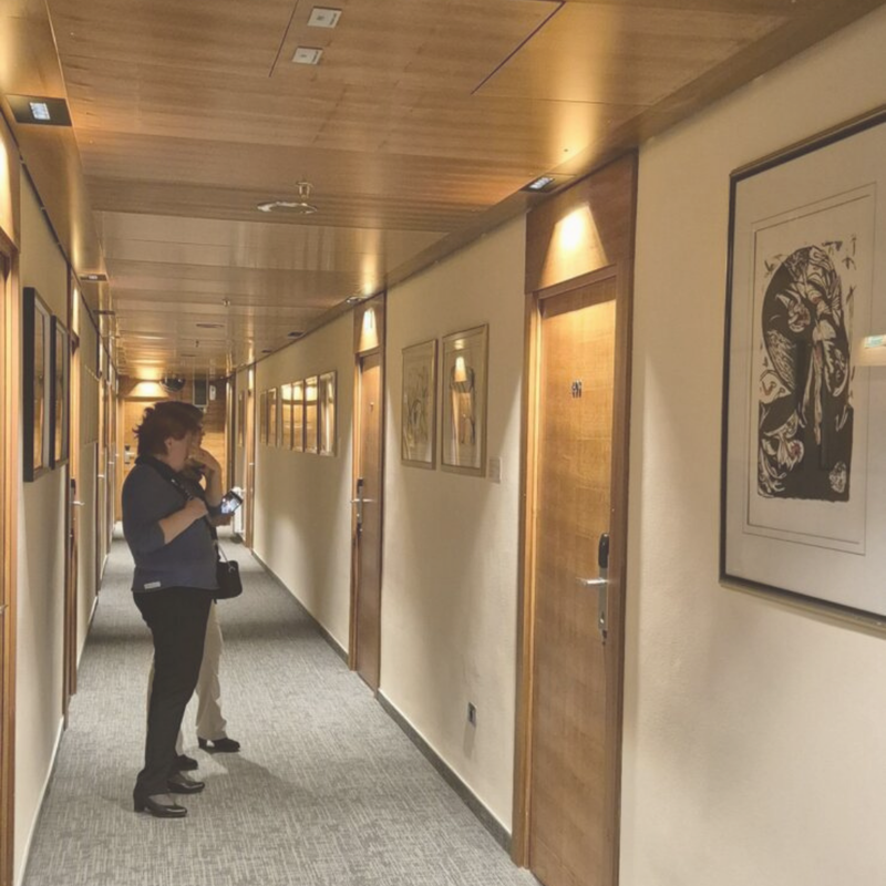Mostra della collezione di Hit composta da stampe di artisti della Primorska