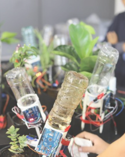 Digigarden