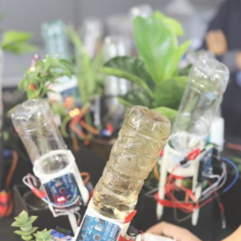 Digigarden