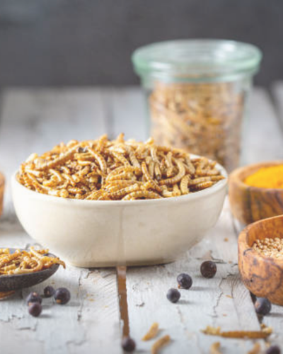 Insects on the Menu: Let's Bite into the Future