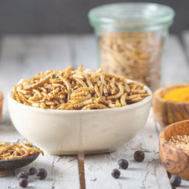Insects on the Menu: Let's Bite into the Future