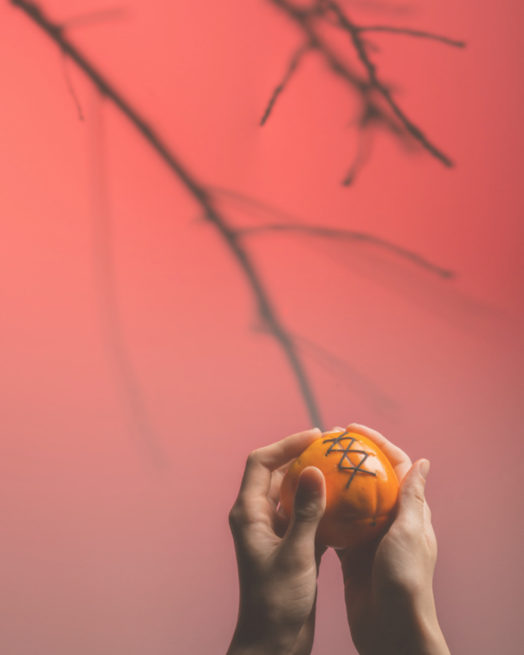Revive Time: Kaki Tree Project