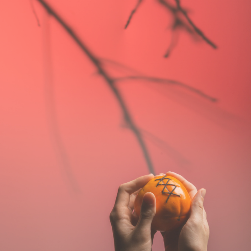 Revive Time: Kaki Tree Project