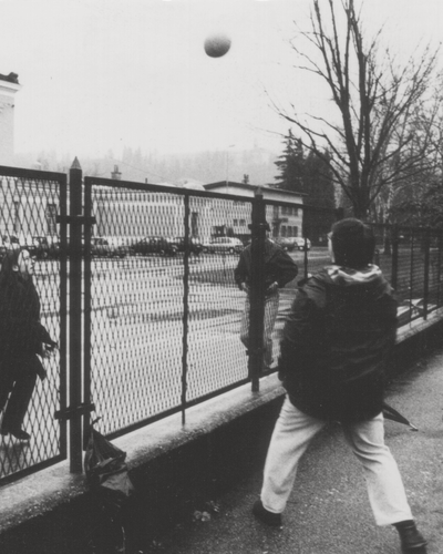 Open Borders: Place of Cross-Border Interaction in History: The Alps-Adriatic Region