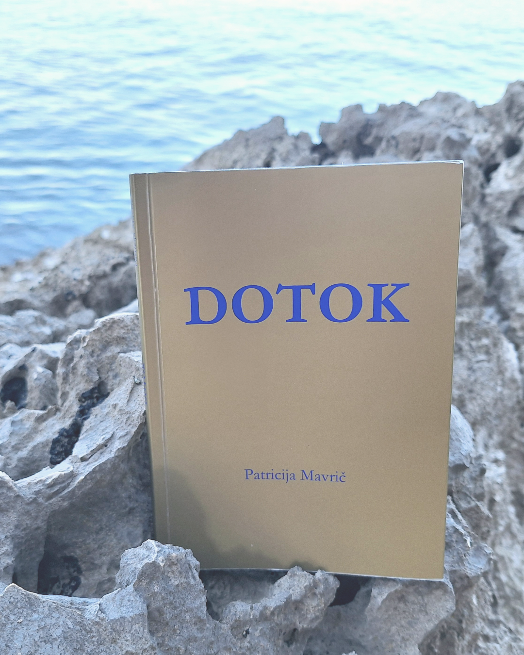 Patricija Mavrič: Dotok (Book Presentation) Patricija Mavrič: Dotok (Book Presentation)