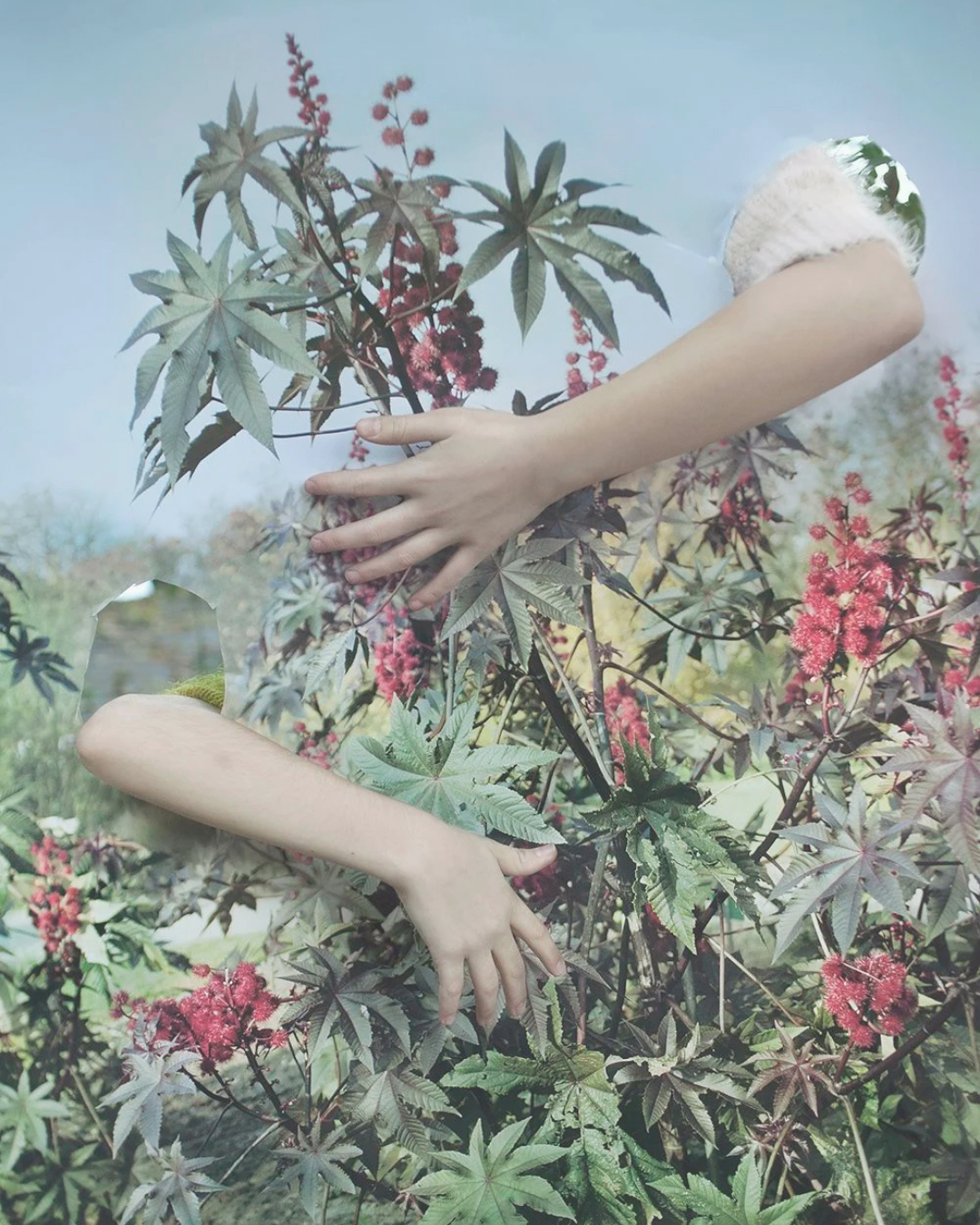 Camouflage in Culture—Presentation of the Artwork of the Month 