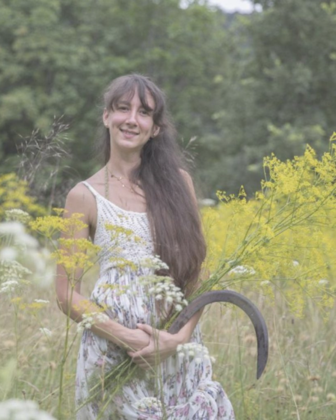 Foraging Festival