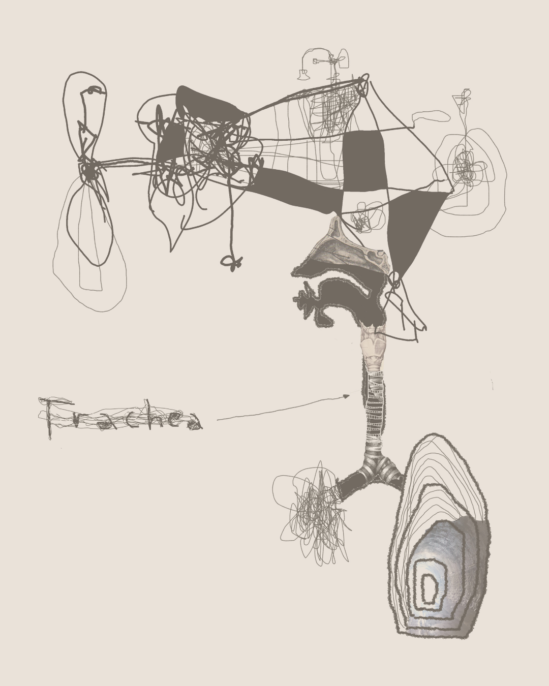 Enej Gala, Tomi Novak: Trachea