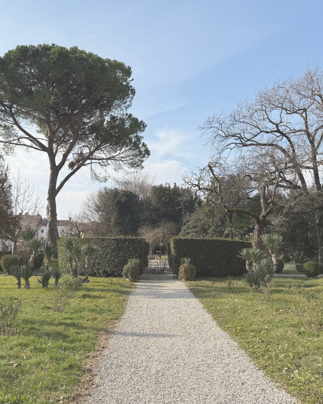 Artist Talk with Marko Pogačnik at the Garden of Palazzo Lantieri Artist Talk with Marko Pogačnik at the Garden of Palazzo Lantieri