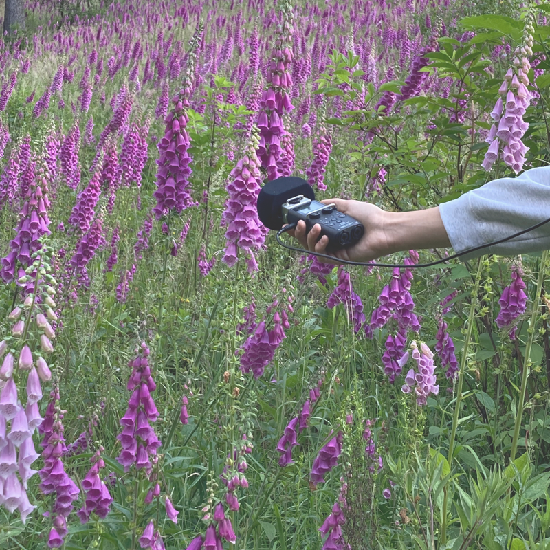 Poletna šola Akademija margin: Radijsko vrtnarjenje