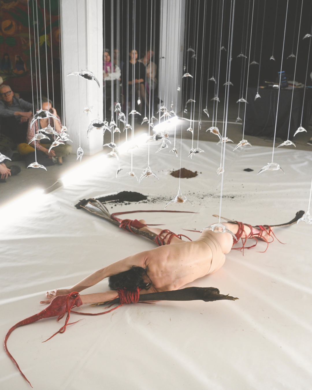 Performance Lament ed eliXir sul Carso