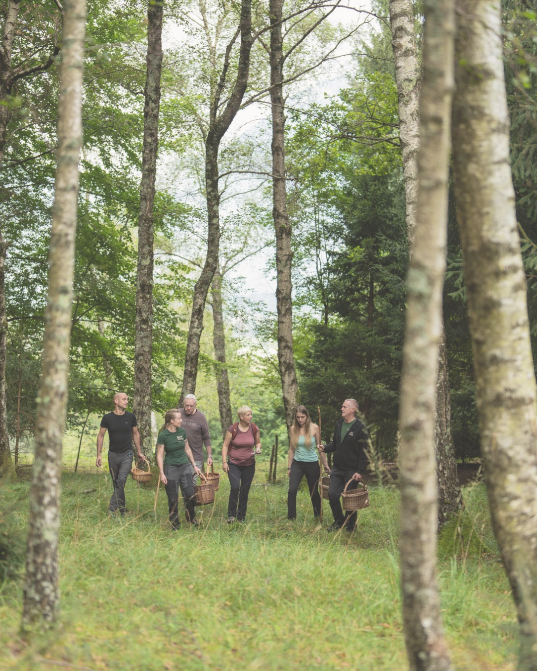 It Smells Like Mushrooms | guided experience as part of the Hiking and Biking Festival