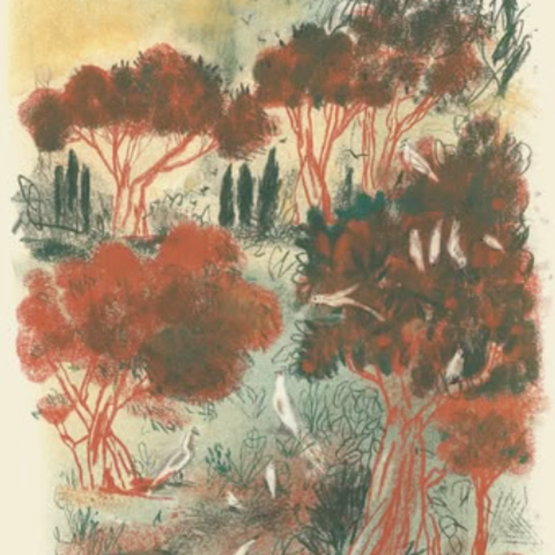 Ana Zavadlav: I paesaggi delle fiabe di Calvino | Mostra Ana Zavadlav: I paesaggi delle fiabe di Calvino | Mostra
