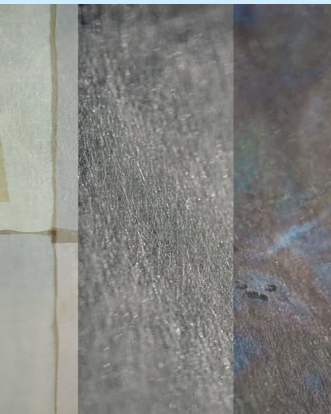 Četrti kokon & več-kot-človeška prihodnost | Odprtje razstave in pogovor Četrti kokon & več-kot-človeška prihodnost | Odprtje razstave in pogovor
