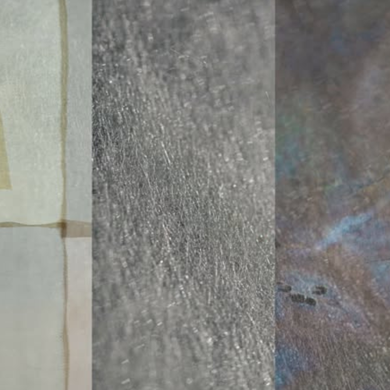 Il quarto bozzolo e il futuro più-che-umano | Inaugurazioni e conversazione
