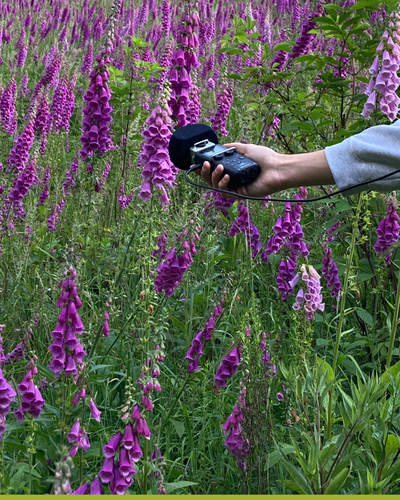 The Other Radio / Sessione radiofonica di novembre The Other Radio / Sessione radiofonica di novembre