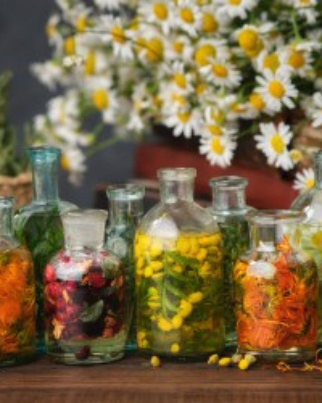 Degustazione di preparati erboristici