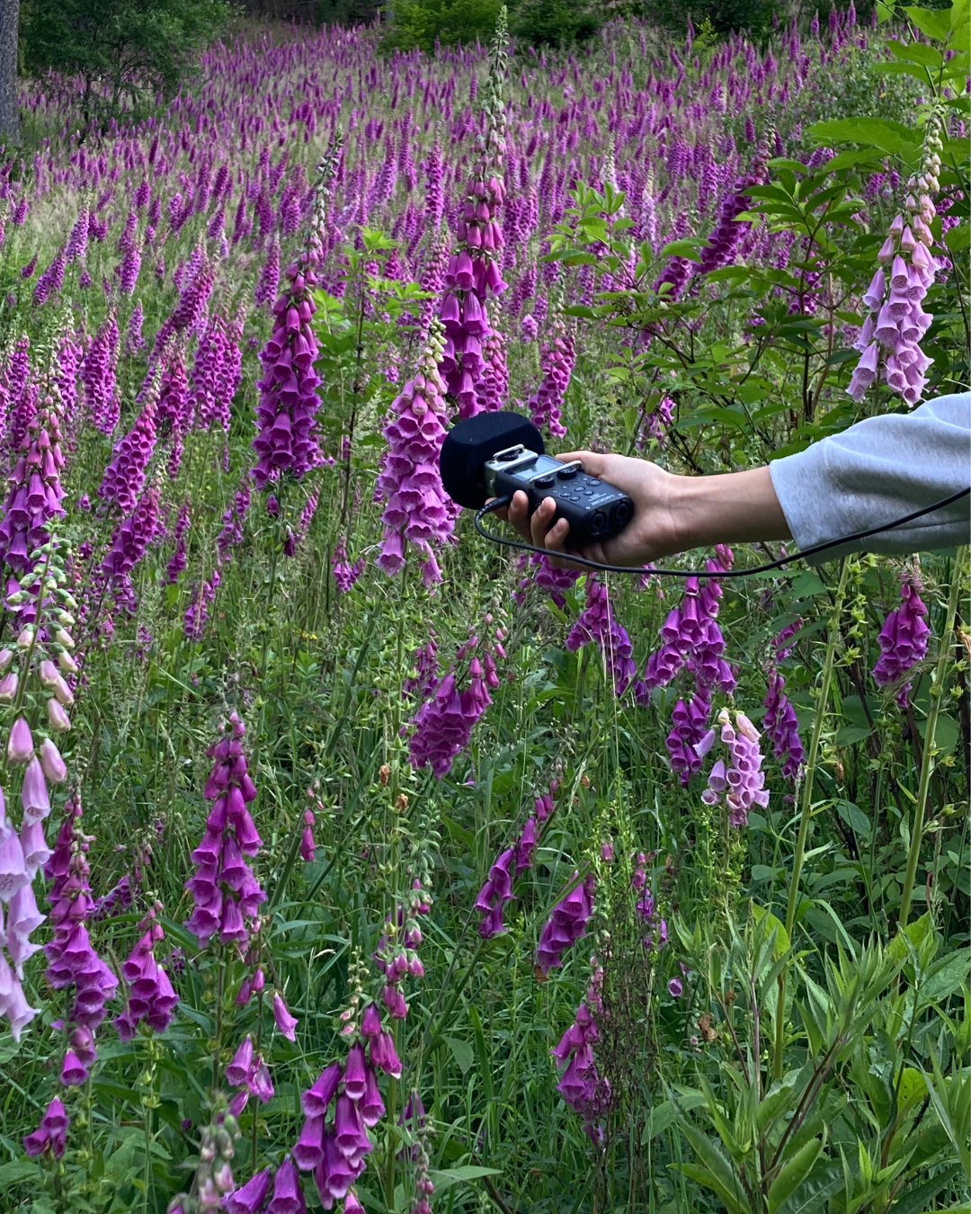 Radio Drugega / Decembrsko radijsko oddajanje