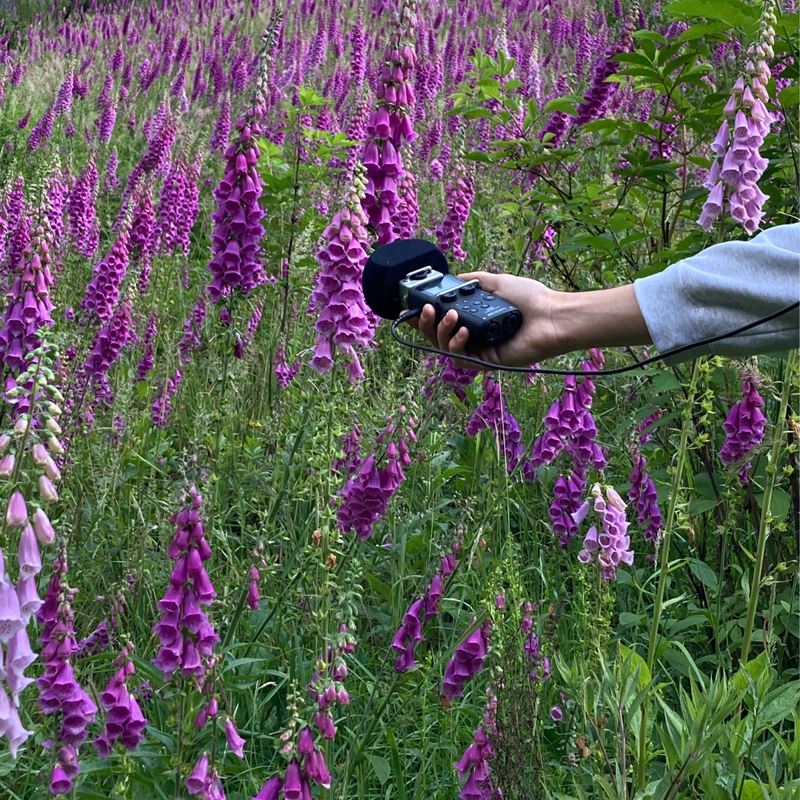 The Other Radio / December radio session