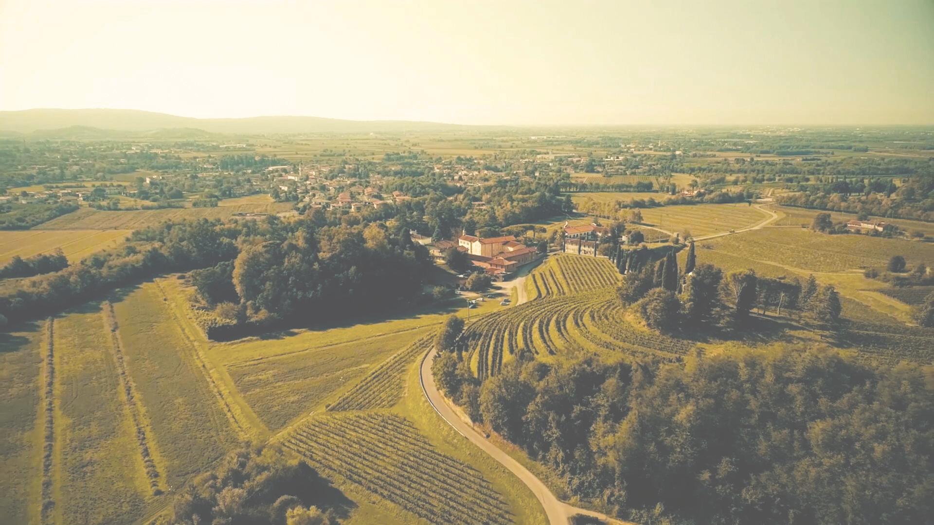 GoGreen Experience: Pripovedni itinerarij "In Vino Veritas"