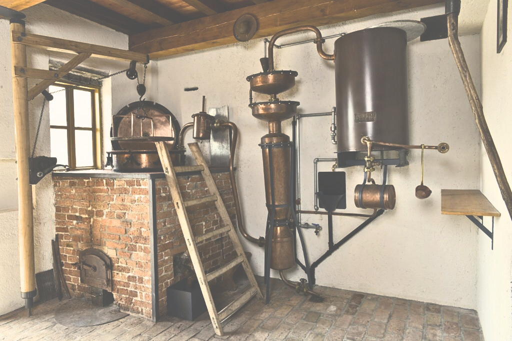 VINA In ŽGANJA Koglot VINA In ŽGANJA Koglot