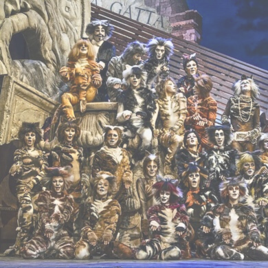 CATS CATS