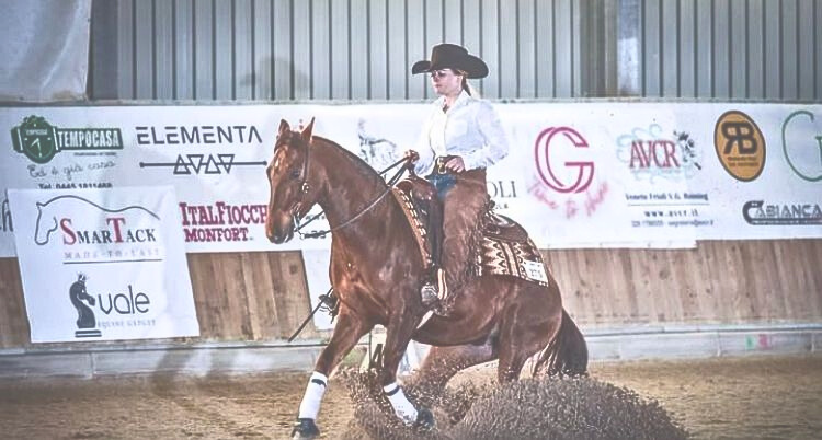 Horse Club 67 Horse Club 67
