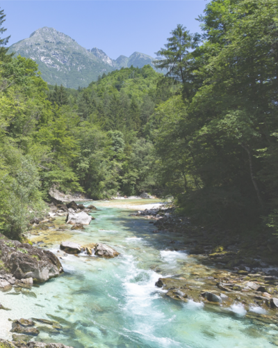 𝗲̀𝗦𝘁𝗼𝗿𝗶𝗮𝗕𝘂𝘀: DISCOVERING SOČA: THE SOURCE