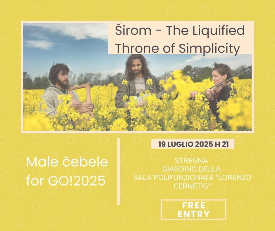 Male čebele project for GO!2025