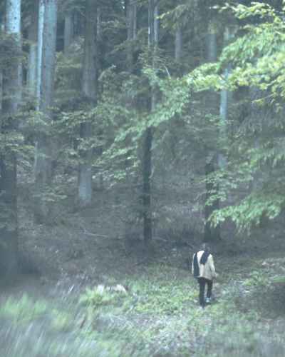 Michelstaedter and Cinema: a day of screenings at Cinema Ariston in Trieste