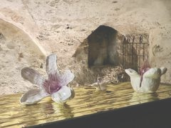 AMNESIE - CAMILLA MARINONI, THE BEGGING OF EACH DAY – CANTO IV, edited by Elisabetta Zerial