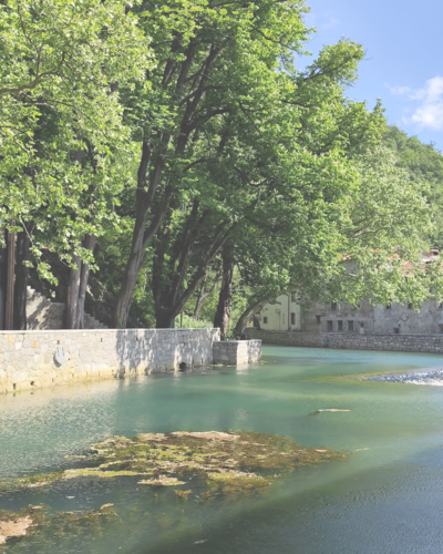 Traces of Art in the Cross-Border Area: Undiscovered Authors between the Vipava and the Soča