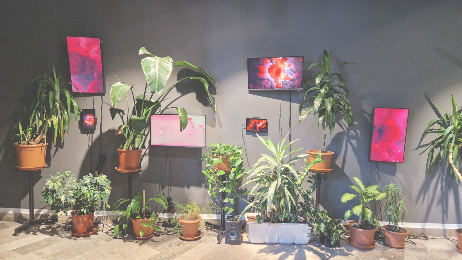 The School of Arts of the University of Nova Gorica marks its 30th anniversary with the exhibition WE ARE HERE 