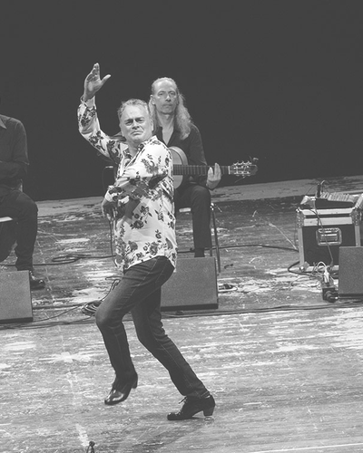 FLAMENCO FANTASY