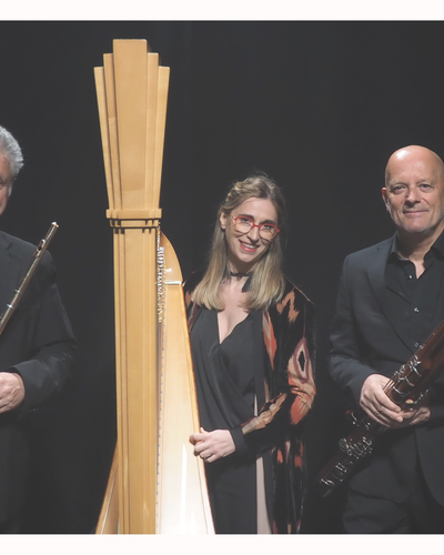 NE SAMO KLAVIR  NE SAMO KLAVIR