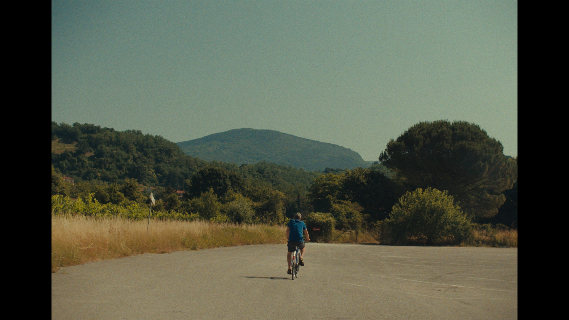 Group film screening Our Daily Cinema