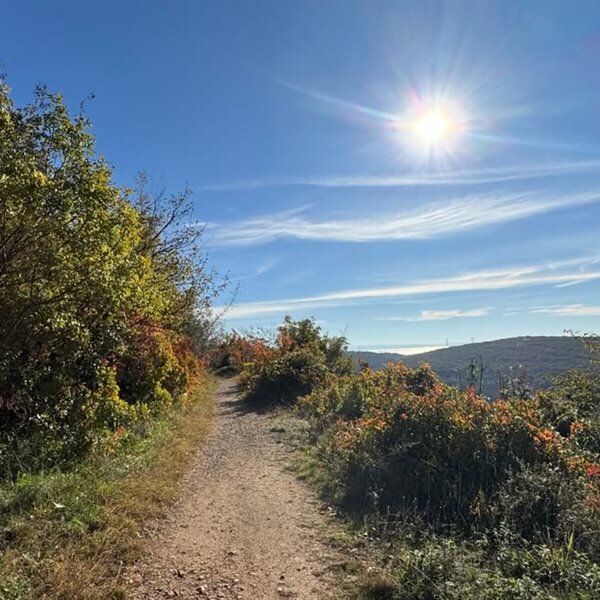 Excursion from the Gradina Visitor Center to the Castellazzo di Doberdò