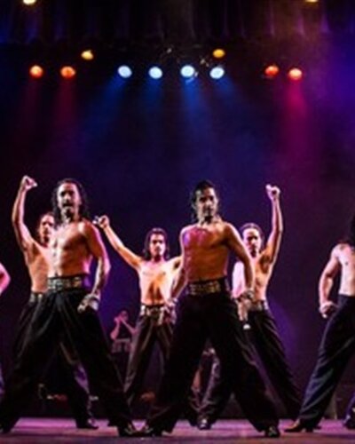 "FREEDOM – The Power Of Wild Instinct"