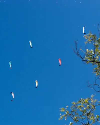 Opening of the Skydiving Season at Lijak