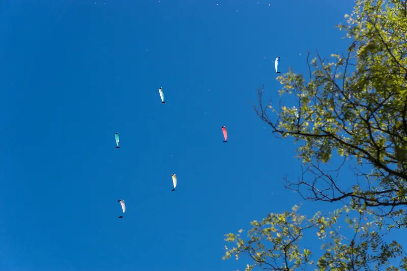 Opening of the Skydiving Season at Lijak