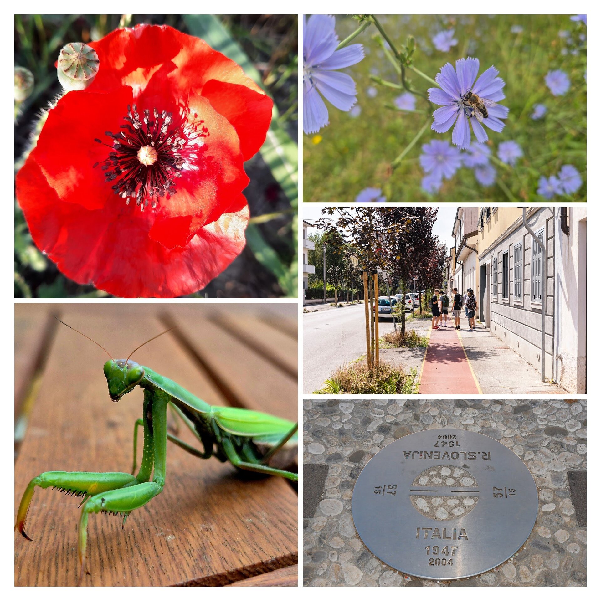City – Where Man and Nature Meet