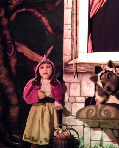 Little Red Riding Hood