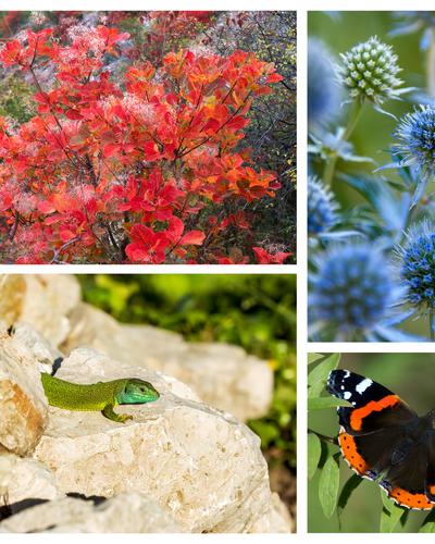 Wildlife workshop for children and families “Karst – A Mosaic of Life”