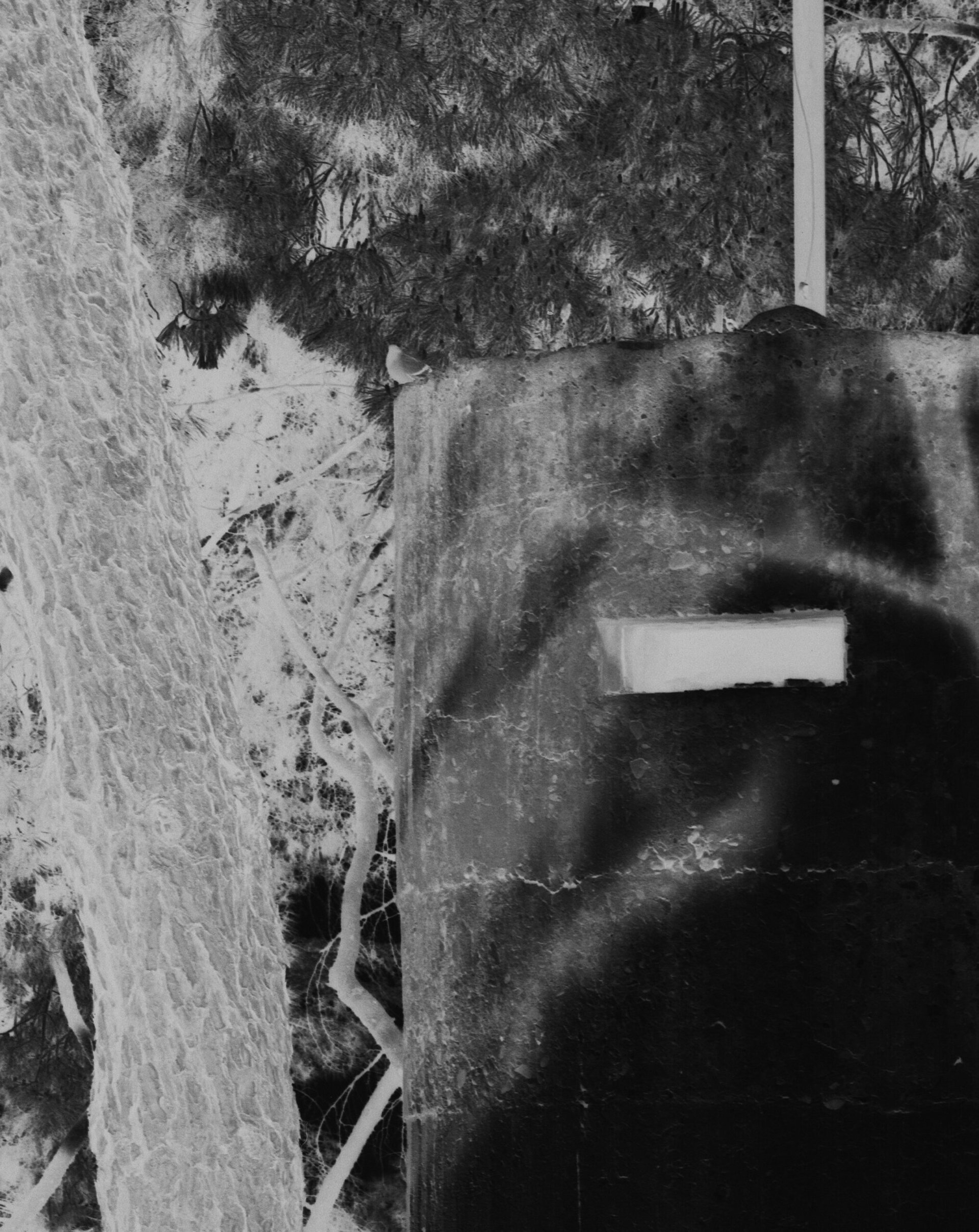 Primož Bizjak - Negativ