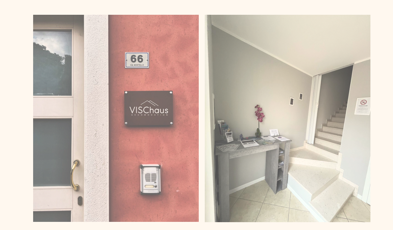 VISChaus VISChaus